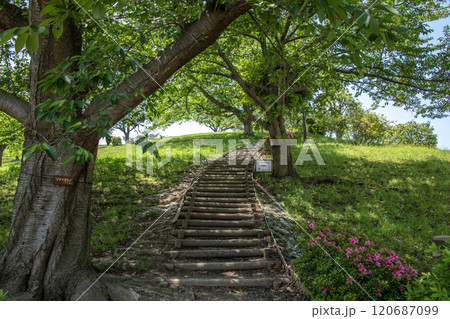 富岡西公園 神奈川県横浜市金沢区富岡西 富岡西公園 神奈川県横浜市金沢区富岡西 120687099