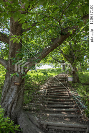 富岡西公園　神奈川県横浜市金沢区富岡西 120687100