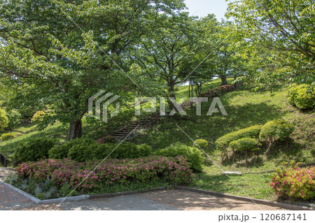 富岡西公園　神奈川県横浜市金沢区富岡西 120687141