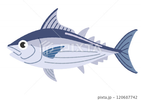 カツオのイラスト 120687742