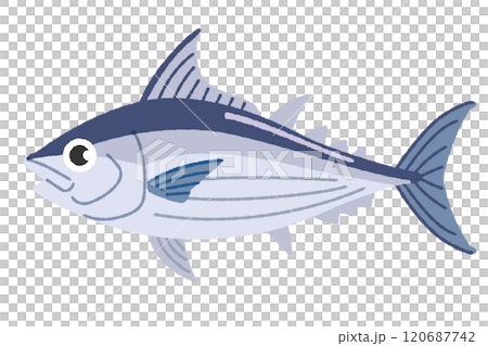 カツオのイラスト 120687742