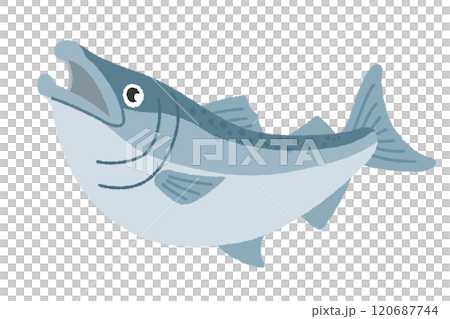 鮭のイラスト 120687744