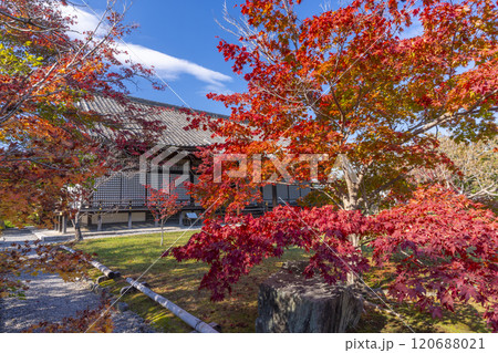 秋の京都　紅葉に包まれた勧修寺　宸殿 120688021