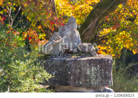 秋の京都 紅葉に包まれた勧修寺 さざれ石 秋の京都 紅葉に包まれた勧修寺 さざれ石 120688025