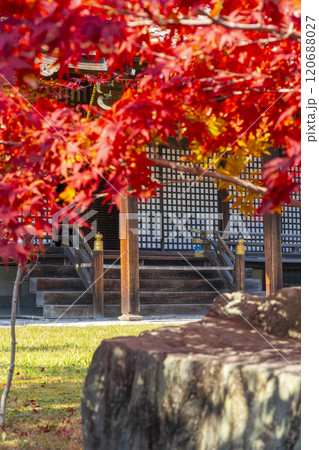 秋の京都 紅葉に包まれた勧修寺 さざれ石越しに見る宸殿 秋の京都 紅葉に包まれた勧修寺 さざれ石越しに見る宸殿 120688027