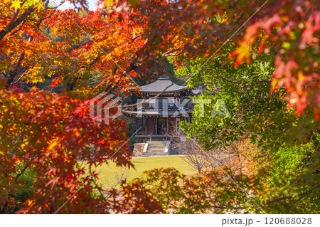 秋の京都　紅葉に包まれた勧修寺　観音堂 120688028