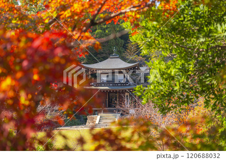 秋の京都　紅葉に包まれた勧修寺　観音堂 120688032