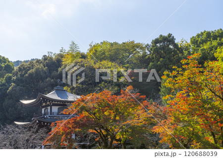 秋の京都 紅葉に包まれた勧修寺 観音堂 秋の京都 紅葉に包まれた勧修寺 観音堂 120688039