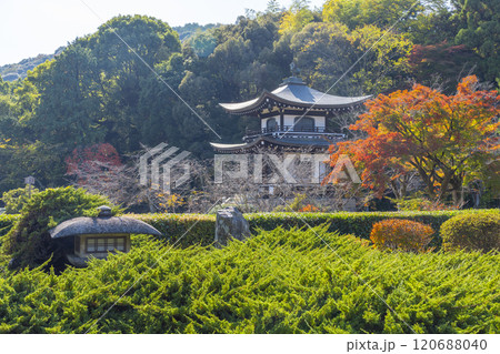 秋の京都 紅葉に包まれた勧修寺 観音堂と勧修寺型灯籠 秋の京都 紅葉に包まれた勧修寺 観音堂と勧修寺型灯籠 120688040