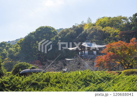 秋の京都 紅葉に包まれた勧修寺 観音堂と勧修寺型灯籠 秋の京都 紅葉に包まれた勧修寺 観音堂と勧修寺型灯籠 120688041