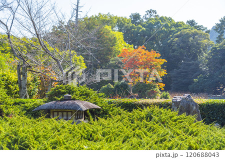 秋の京都　紅葉に包まれた勧修寺　勧修寺型灯籠 120688043
