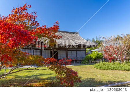 秋の京都　紅葉に包まれた勧修寺　宸殿 120688048