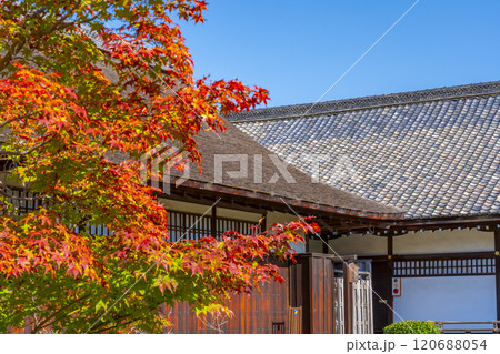 秋の京都　紅葉に包まれた勧修寺　書院 120688054