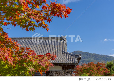 秋の京都 紅葉に包まれた勧修寺 宸殿 秋の京都 紅葉に包まれた勧修寺 宸殿 120688055