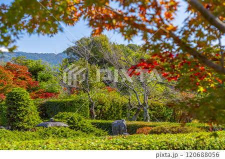秋の京都 紅葉に包まれた勧修寺 勧修寺型灯籠 秋の京都 紅葉に包まれた勧修寺 勧修寺型灯籠 120688056