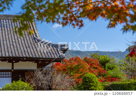 秋の京都　紅葉に包まれた勧修寺　宸殿 120688057