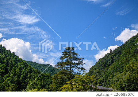 山の上に広がる青空と一本の木の風景 山の上に広がる青空と一本の木の風景 120688070