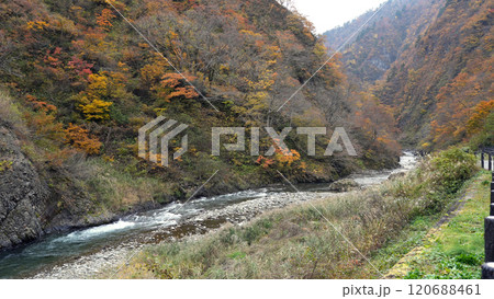 清津峡渓谷の紅葉(新潟県) 清津峡渓谷の紅葉(新潟県) 120688461