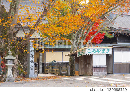 秋の高野山 紅葉に包まれた如意輪寺 秋の高野山 紅葉に包まれた如意輪寺 120688539