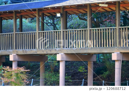お寺の長い廊下 (千葉県松戸市の本土寺) お寺の長い廊下 (千葉県松戸市の本土寺) 120688712