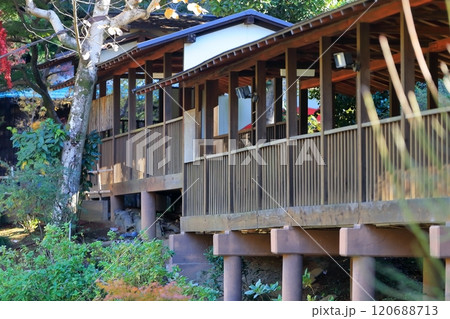 お寺の長い廊下 (千葉県松戸市の本土寺) お寺の長い廊下 (千葉県松戸市の本土寺) 120688713