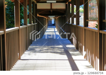 お寺の長い廊下　(千葉県松戸市の本土寺) 120688734