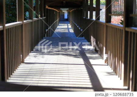 お寺の長い廊下　(千葉県松戸市の本土寺) 120688735