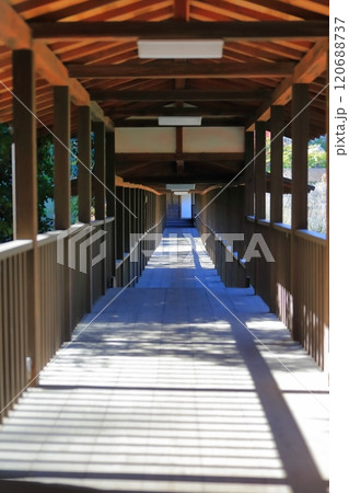 お寺の長い廊下 (千葉県松戸市の本土寺) お寺の長い廊下 (千葉県松戸市の本土寺) 120688737