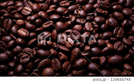 《AI画像》焙煎したコーヒー豆 120688748