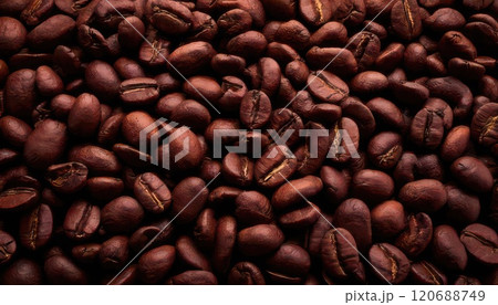 《AI画像》焙煎したコーヒー豆 120688749