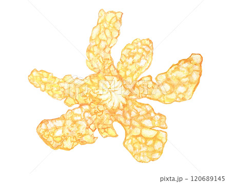 水彩で描いたみかんの皮のイラスト素材 水彩で描いたみかんの皮のイラスト素材 120689145