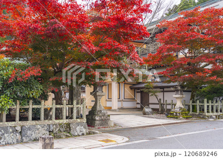 秋の高野山別格本山　紅葉に包まれた西南院 120689246