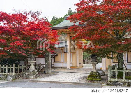 秋の高野山別格本山 紅葉に包まれた西南院 秋の高野山別格本山 紅葉に包まれた西南院 120689247
