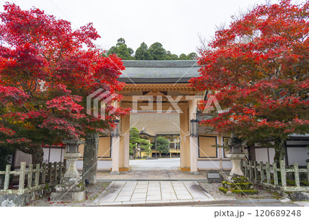 秋の高野山別格本山 紅葉に包まれた西南院 秋の高野山別格本山 紅葉に包まれた西南院 120689248