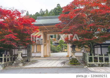 秋の高野山別格本山 紅葉に包まれた西南院 秋の高野山別格本山 紅葉に包まれた西南院 120689251