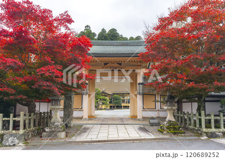 秋の高野山別格本山　紅葉に包まれた西南院 120689252