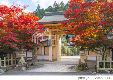 秋の高野山別格本山　紅葉に包まれた西南院 120689253