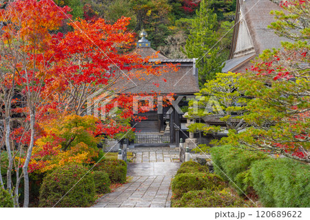高野山真言宗別格本山 紅葉に包まれた清浄心院 高野山真言宗別格本山 紅葉に包まれた清浄心院 120689622