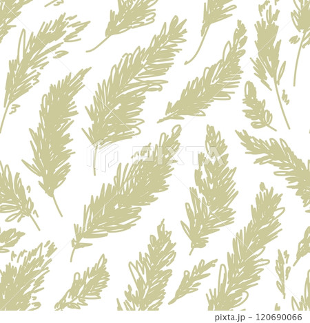 Pampas grass seamless pattern. Trendy vector design for wedding, postcards, textile, wallpaper, fabric, wrapping paper 120690066