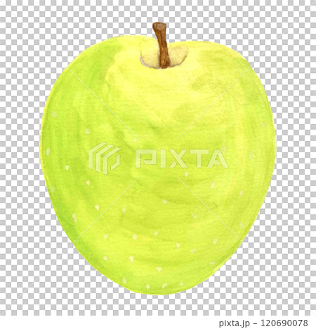 水彩で描いた青りんごのイラスト素材 120690078