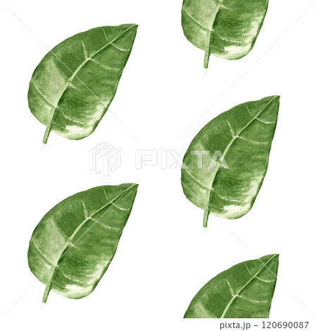 Green leaves watercolor seamless pattern. High quality hand-painted detailed shiny texture watercolor illustrations are perfect for patterns, botanical designs, packages, prints, wrapping paper, cards 120690087