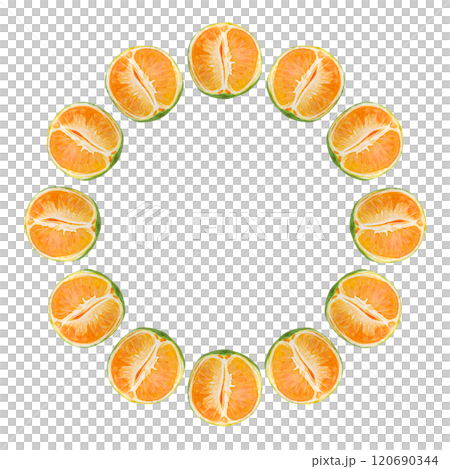 Green orange round watercolor frame isolated on white. High quality hand drawn clip art perfect for food design, packages, restaurant menu, cards, poster, natural organic food ads, label, logo decor Green orange round watercolor frame isolated on white. High quality hand drawn clip art perfect for food design, packages, restaurant menu, cards, poster, natural organic food ads, label, logo decor 120690344