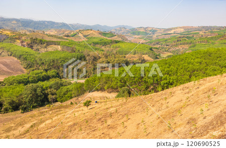 The biggest cause of forest loss is agricultural deforestation ,environmental damage in Southeast Asia , global warming and environment. The biggest cause of forest loss is agricultural deforestation ,environmental damage in Southeast Asia , global warming and environment. 120690525