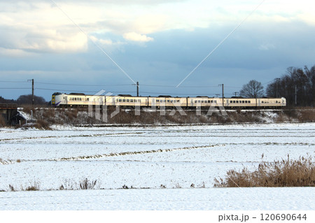 雪の石勝線を駆ける特急おおぞら　おおぞら　根室本線　石勝線　キハ261 120690644