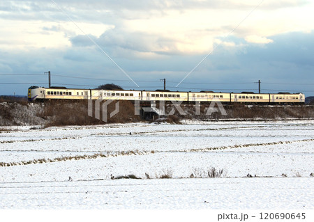 雪の石勝線を駆ける特急おおぞら おおぞら 根室本線 石勝線 キハ261 雪の石勝線を駆ける特急おおぞら おおぞら 根室本線 石勝線 キハ261 120690645