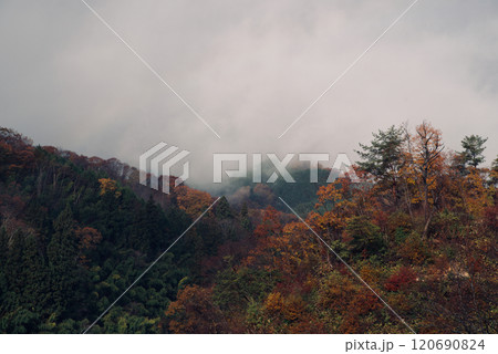 小雪の頃 雨に濡れた山里の紅葉 朝靄 コピースペース 小雪の頃 雨に濡れた山里の紅葉 朝靄 コピースペース 120690824