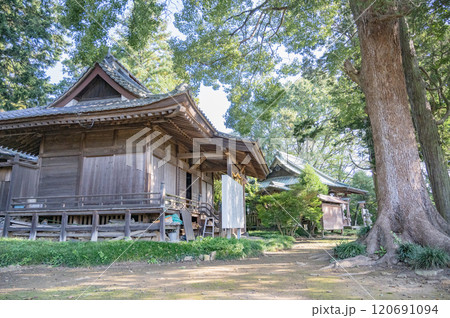 群馬 新田神社(太田市) 群馬 新田神社(太田市) 120691094