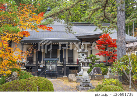高野山宿坊 紅葉に包まれた常喜院 高野山宿坊 紅葉に包まれた常喜院 120691739