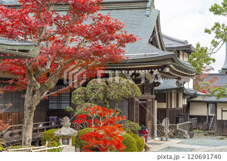 高野山宿坊 紅葉に包まれた常喜院 高野山宿坊 紅葉に包まれた常喜院 120691740