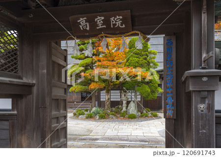 高野山宿坊 紅葉に包まれた高室院 高野山宿坊 紅葉に包まれた高室院 120691743
